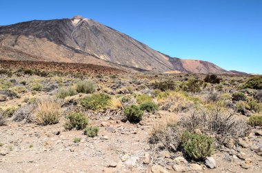 Mirador Llano de Ucanca gözlem güvertesi, Teide Ulusal Parkı, Tenerife, Kanarya Adaları, Ispanya 'dan Teide lav alanı arasında bir görünüm
