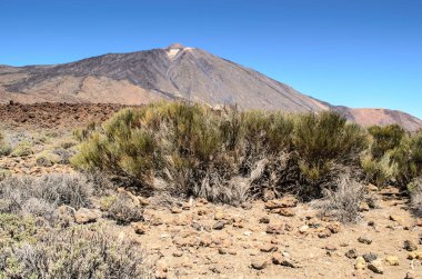 Mirador Llano de Ucanca gözlem güvertesi, Teide Ulusal Parkı, Tenerife, Kanarya Adaları, Ispanya 'dan Teide lav alanı arasında bir görünüm