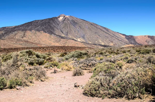 Kilátás Egész Láva Mező Teide Mirador Llano Ucanca Megfigyelő Fedélzeten — Stock Fotó