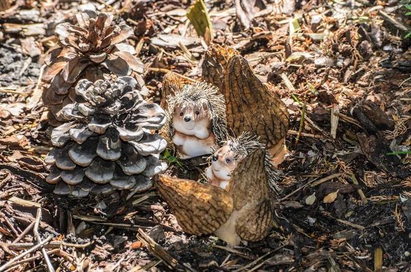 Family of hedgehogs with pine cones and mushrooms — Stock Photo, Image