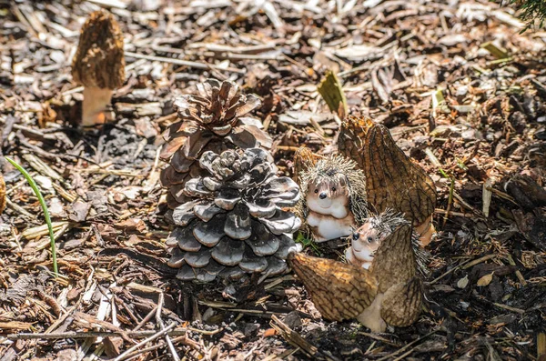 Family of hedgehogs with pine cones and mushrooms — Stock Photo, Image