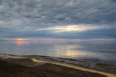 Günbatımı sahilde kuğu, Baltık Denizi, Letonya, Jurmala