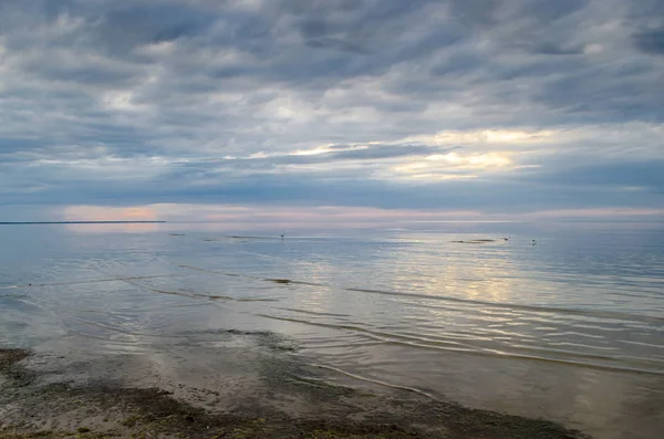 Gaivotas voando e flutuando na costa do mar báltico ao sol — Fotografia de Stock