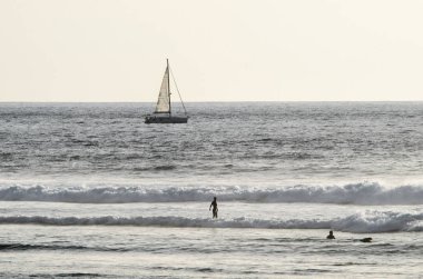 Playa de las Americas plajında sörfçüler, Tenerife, Kanarya isl