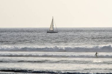 Playa de las Americas plajında sörfçüler, Tenerife, Kanarya isl