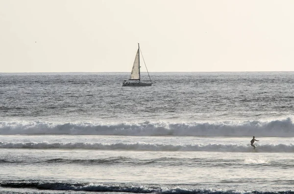 Playa de las Americas plajında sörfçüler, Tenerife, Kanarya isl