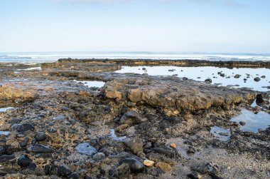 Las Americas, Tenerife, Kanarya şafakvakti siyah bir lav plaj