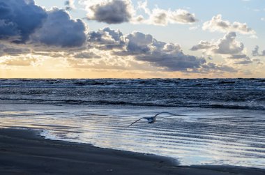 Bulutlu gökyüzü, Baltık denizi, Jurmala, Letonya ile sahilde gün batımı