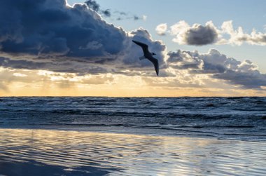 Bulutlu gökyüzü, Baltık denizi, Jurmala, Letonya ile sahilde gün batımı