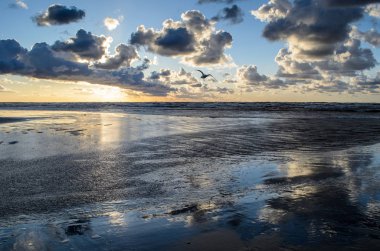 Bulutlu gökyüzü, Baltık denizi, Jurmala, Letonya ile sahilde gün batımı