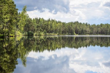 Kemeri n ağaçların yansıması ile orman gölü (melnezers)