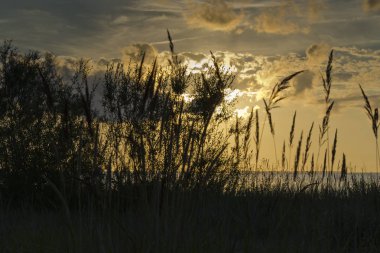 Günbatımında Jurmala 'da kumlu bir plajın manzarası, Letonya