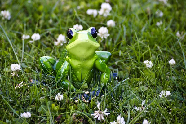 玩具青蛙坐在草地上 — 图库照片