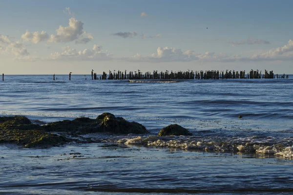 Uma vista de velhos postes de quebra-mar na praia, Baía de Riga, Jurmala, Latv — Fotografia de Stock