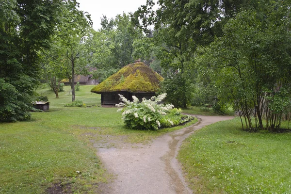 Ancienne maison en bois avec toit en roseau — Photo