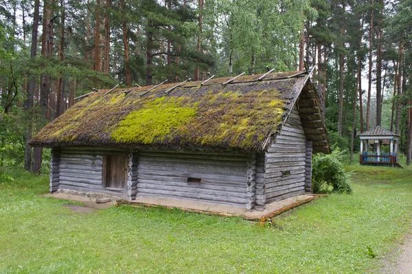 Старий дерев'яний будинок з очеретяним дахом — стокове фото