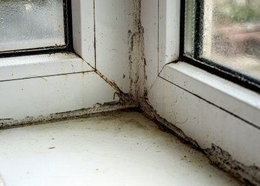 Plastik beyaz bir pencerenin üzerindeki siyah küf.