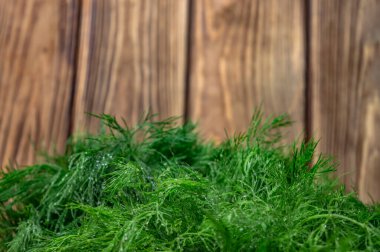 Tahtaların arka planında doğal yeşil dereotu var.