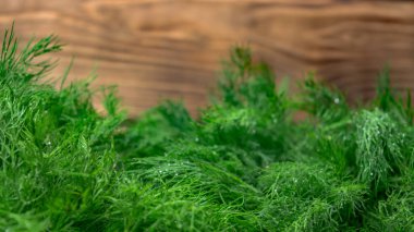 organik taze yeşil dereotu kapatın.