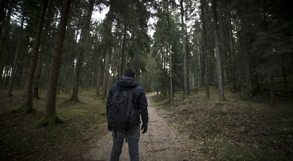 Young man with a backpack is walking along the forest path.