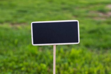 Alanın ortasında kayrak..