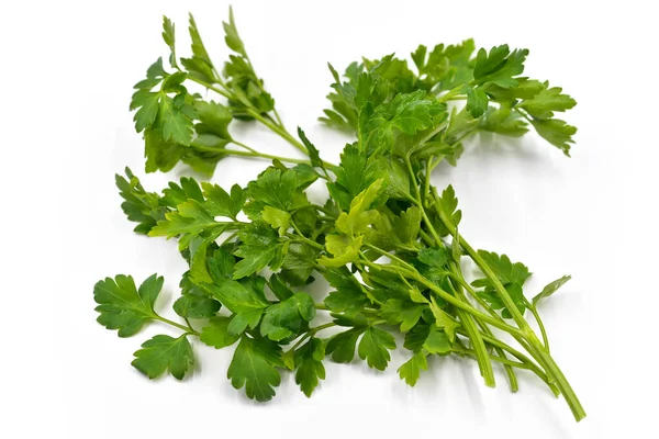 Parsley Light Background — Stock Photo, Image