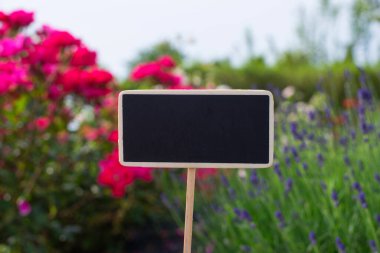 Alanın ortasında kayrak..