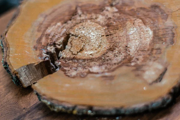 Fondo Del Árbol Envejecimiento Árbol Cerca —  Fotos de Stock