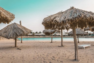 denizin kenarında palmiye ağaçlarından doğal malzemelerden yapılmış plaj şemsiyeleri