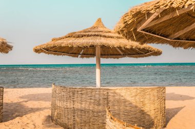denizin kenarında palmiye ağaçlarından doğal malzemelerden yapılmış plaj şemsiyeleri