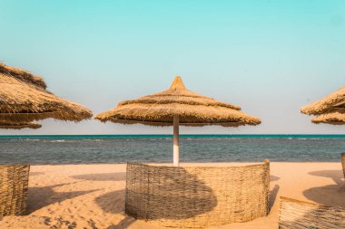 denizin kenarında palmiye ağaçlarından doğal malzemelerden yapılmış plaj şemsiyeleri
