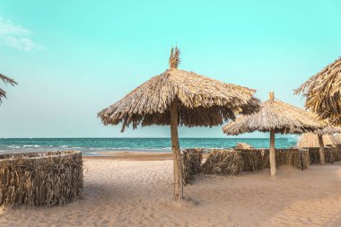 denizin kenarında palmiye ağaçlarından doğal malzemelerden yapılmış plaj şemsiyeleri