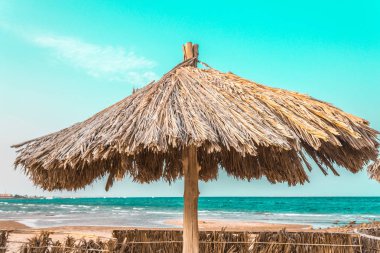 denizin kenarında palmiye ağaçlarından doğal malzemelerden yapılmış plaj şemsiyeleri