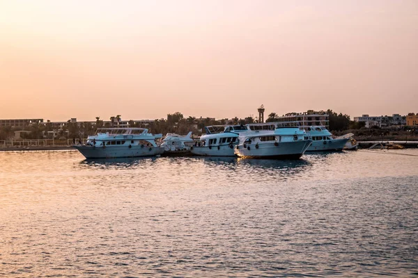 Yachts Docked Seaport Sunset Marine Parking Modern Motor Boats — Stock Photo, Image