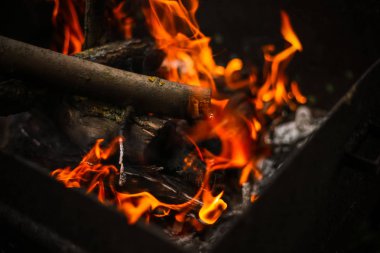 Bir ağacın kesilmesinden gelen kırmızı alev, metal bir brazier'in içindeki koyu gri kömürler. Parlak sarı bir alev üzerinde bir brazier yanan yakacak odun. Kebap pişirmeye hazırlanan ateş alevleri.