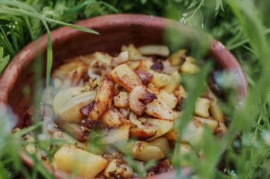 Yeşil çimenlerin arka planında kızarmış altın patates. Doğada yemek pişirmek.