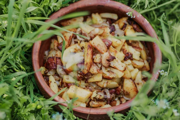 Batata de ouro frita em um fundo de grama verde. Cozinhar na natureza . — Fotografia de Stock