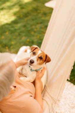 Köpeğiyle dışarıda gezen çekici yaşlı kadın. Jack Russell Terrier köpeğiyle yeşil çimlerin üzerinde bir kadın.