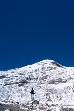 Arka planda beş kırmızı kırmızı kırmızı biber