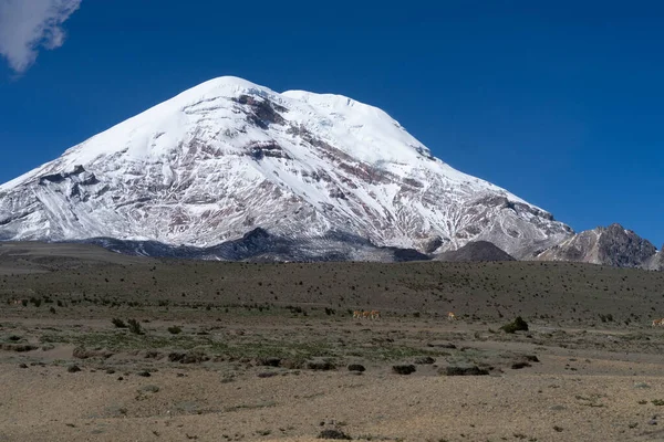 Volcán Chimborazo Punto Más Cercano Sol Ecuador — Foto de Stock