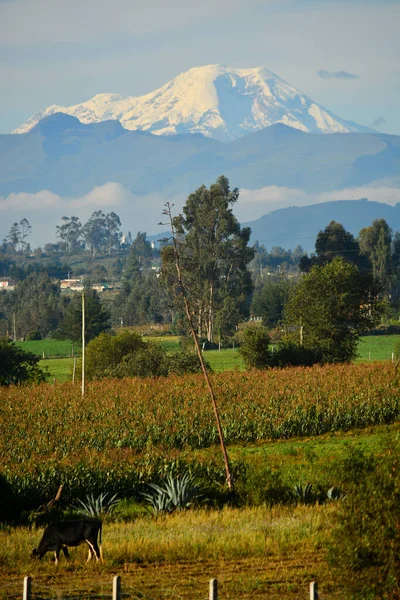 Vulcano Chimborazo Punto Più Vicino Sole Ecuador — Foto Stock