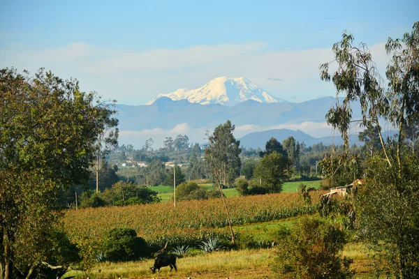 Vulcano Chimborazo Ecuador Punto Più Vicino Sole — Foto Stock