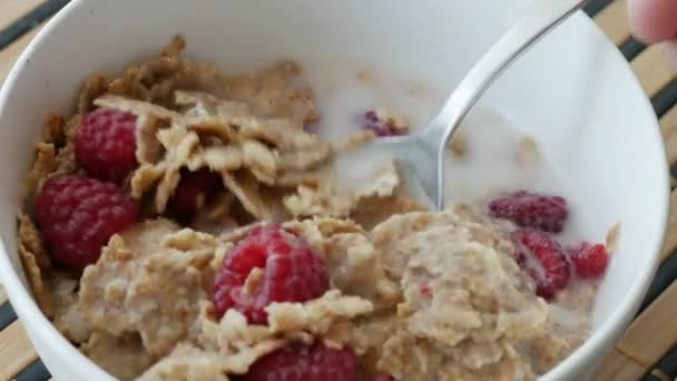 Manger des flocons de blé entier avec des framboises pour le petit déjeuner 