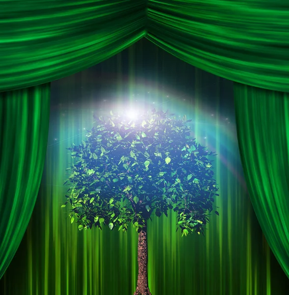 Baum Vor Grünen Bühnenvorhängen — Stockfoto