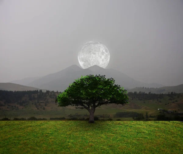 Grüner Baum Mond Über Bergen Darstellung — Stockfoto