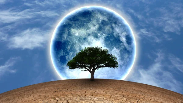 Surrealismo Árbol Verde Tierra Árida Luna Llena Cielo Azul — Foto de Stock