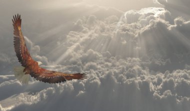 Özgürlük. Uçuş bulutlar hakkında kartal