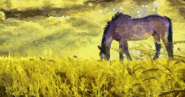 Lukisan Minyak Kuda Padang Rumput — Stok Foto