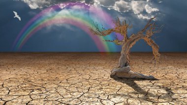 Eski ağaç ve rainbow ile gerçeküstü kurak arazi