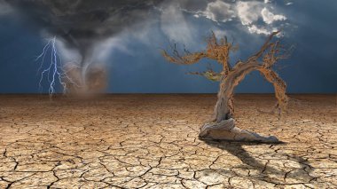 Storm rages in desert. Colorful modern illustration for background clipart
